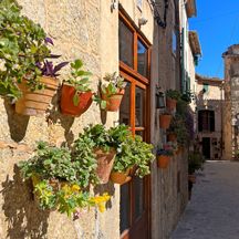 Flower pots on a house wall in Valldemossa