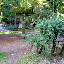 Schöner Wanderweg am Rennsteig