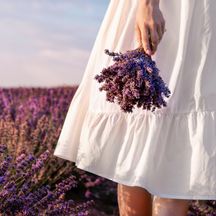 Woman standing in front of a blooming lavender field with a bunch of lavender in her hand