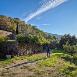 Wanderer mit Rucksack geht durch terrassierten Garten im heiligen Wald San Francesco, Umbrien. Steinmauern und üppige Vegetation am Hang unter blauem Himmel.