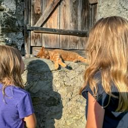 Two children with blonde hair watching an orange cat resting on stone steps in front of a wooden door at Schloss Kammer in Pinzgau.