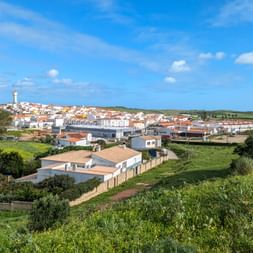 Blick auf eine Stadt umgeben von Grün