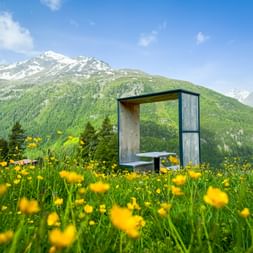 Wooden rest shelter with bench in alpine meadow filled with yellow buttercups. Snow-capped mountains and green forests in background.
