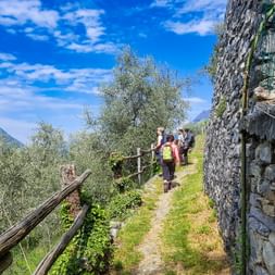Ein abenteuerlicher Wanderweg am Comer See