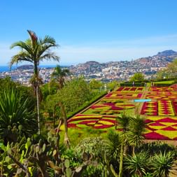 Botanischer Garten in der Hauptstadt Funchal
