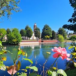 View Casale Rose