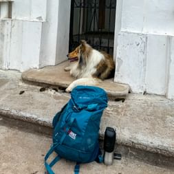 Collie-Hund ruht auf Steinstufen am Eingang einer weißen Kapelle bei Kobarid. Blauer Wanderrucksack und Wasserflasche auf den Stufen.