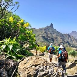 Hikers enjoy the flat paths and the amazing tropical plants