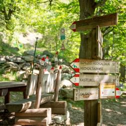Signpost and rest area in the dwarf forest
