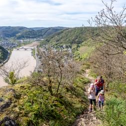 Moselblick zwischen Treiskarden und Moselkern
