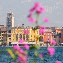 View of Riva del Garda waterfront with colorful buildings and bell tower, framed by pink flowers in foreground. Lake Garda waters visible.