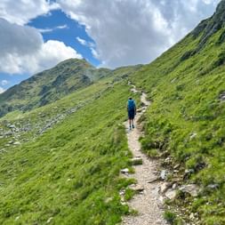 Wanderer mit blauem Rucksack auf schmalem Bergpfad im Nationalpark Hohe Tauern, umgeben von grünen Hängen unter bewölktem Himmel.