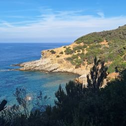 Piombino Küste mit Wald
