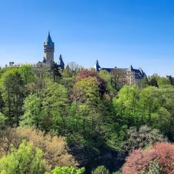 View of Luxembourg's colourful forests