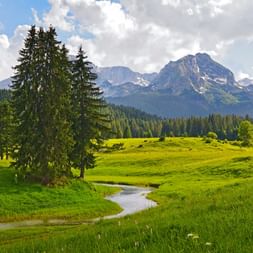 A small stream on an alpine meadow, the mountain panorama in the background