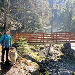 Mann in türkisfarbener Jacke wandert mit einem Collie-Hund auf einem Waldweg nahe einer Holzbrücke über einen felsigen Bach in der Wachau.