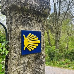 The scallop shell - the symbol of the Way of St. James The scallop shell - the symbol of the Way of St. James