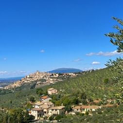 Panoramablick auf Trevi, eine mittelalterliche Hügelstadt in Umbrien, umgeben von Olivenhainen und verstreuten Häusern unter blauem Himmel.