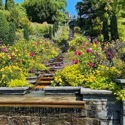 The flower island of Mainau