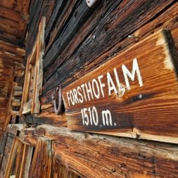 Holzschild mit der Aufschrift 'Forsthofalm 1510 m.' an verwitterter Holzwand einer traditionellen Almhütte mit Blumen am Fenster.