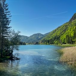 Pillersee lake with clear turquoise water, reeds on the right shore, forested mountains in the background under blue sky.