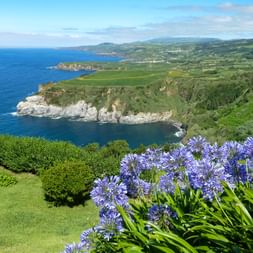 Panoramic view of the island of “São Miguel”