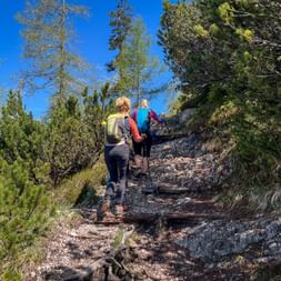 Two hikers with backpacks ascending a rocky mountain trail surrounded by pine trees under a clear blue sky in the Saalfelden region.
