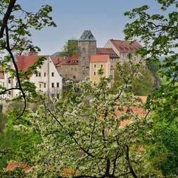 Burg Hohnstein