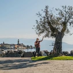 Hiker touching an old olive tree on Lake Garda's rocky shore. The town of Salò with its church tower is visible across the water.