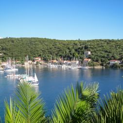 Ships in a bay on Kefalonia