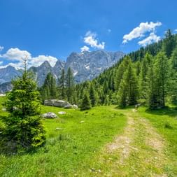 Wanderweg in Kranjska Gora