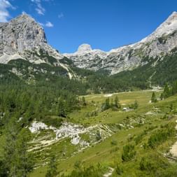 Hiking trail through green alpine meadow in Velo Polje, Julian Alps. Rocky mountain peaks rise above dense forests under blue sky.