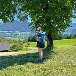Beautiful meadow paths with a view of Lake Wolfgangsee