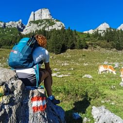 Hiker in front of a Cow pasture