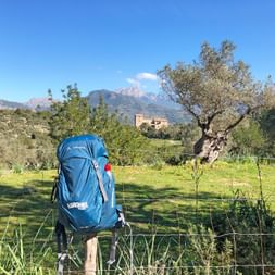 Eurohike backpack in front of an olive garden of a typical finca