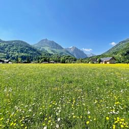 Bergpanorama in Strobl