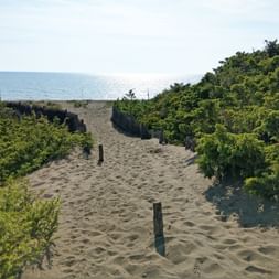 Beach path at cecina