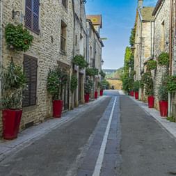 Schmale Straße in Gevrey, Burgund, gesäumt von Steinhäusern, roten Blumenkübeln und Kletterpflanzen unter blauem Himmel.