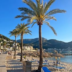 Sandy beach and palm trees at Port Soller