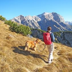 Gipfelpanorama im Pinzgau beim Wandern mit Hund