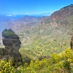 On the GR 131 with views over yellow-flowering giant fennel to rock formations and the valley