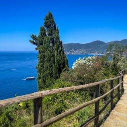 Hiking path with wooden fence along Mediterranean coast in Cinque Terre. Cypress tree, blue sea, boats, and mountains under clear sky.