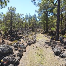 Tenerife volcanic landscape