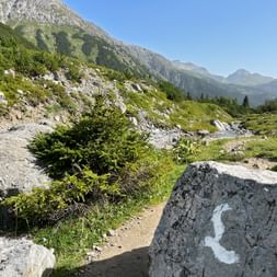 Weiße Wegmarkierung auf einem Felsen entlang des Lechwegs, mit Alpenbergen, grünen Wiesen und einem Bach im Hintergrund.
