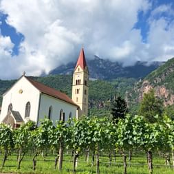 South Tyrolean church surrounded by vines