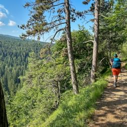 Hiker with backpack on forest path along Waalweg Dria al Fos, with pine trees and mountain valley views on the route to Lake Garda.