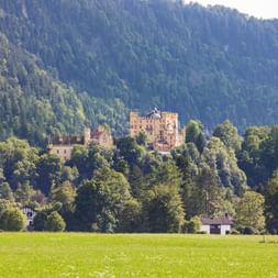Schloss Hohenschwangau eingebettet zwischen grünen Bäumen mit bewaldeten Bergen dahinter. Eine grüne Wiese und Häuser im Vordergrund.