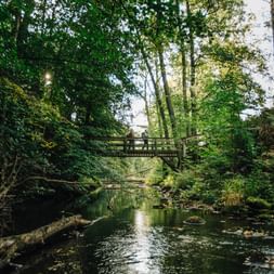 Wooden footbridge crossing Verkeån stream in a lush forest. A person stands on the bridge surrounded by dense green trees and foliage.
