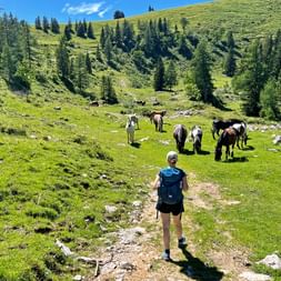 Wanderin auf der Postalm mit Pferden