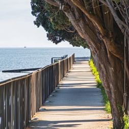Wooden lakeside promenade in Salò with railing and overhanging trees, leading along the calm waters of Lake Garda.
